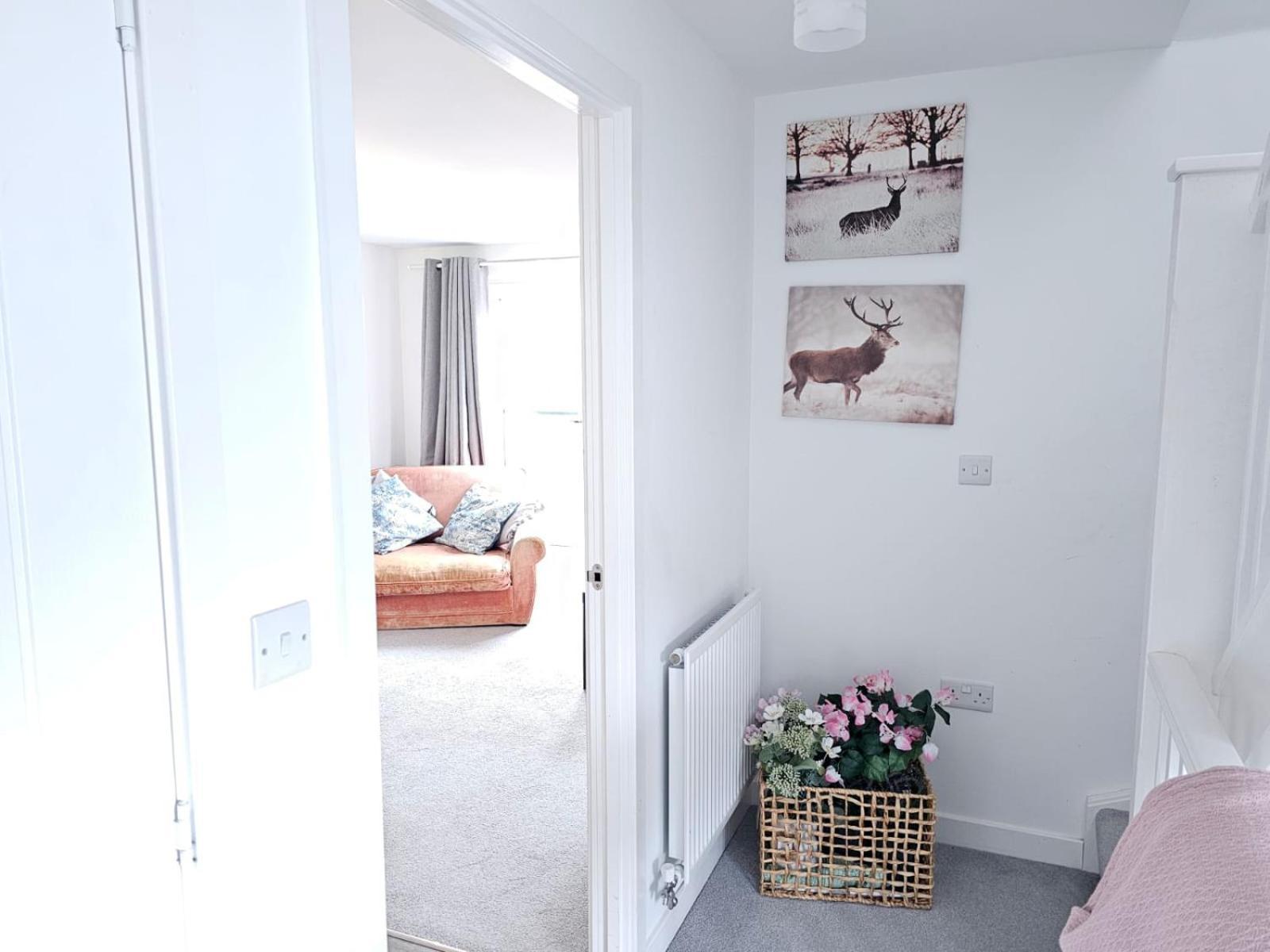 Modern 3 Bedroom Town House イプスウィッチ エクステリア 写真